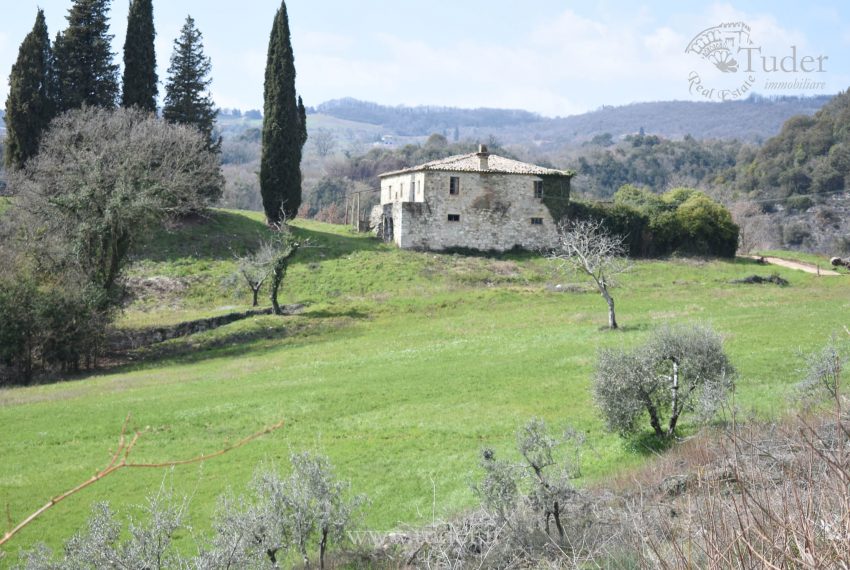 Casale Canonica Vecchia