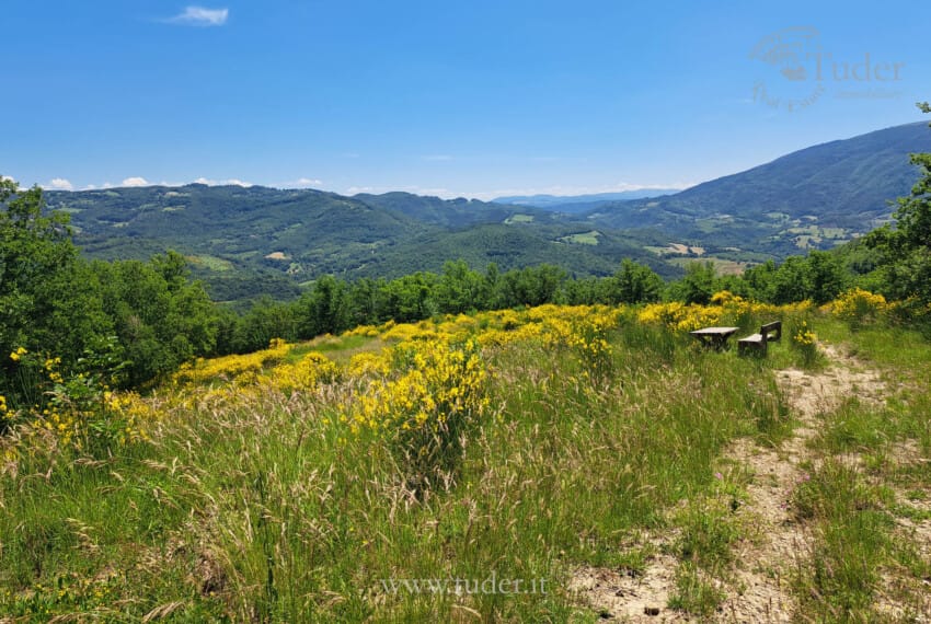 654_Assisi_azienda_agricola_casali