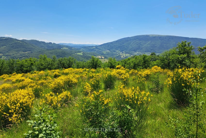 654_Assisi_azienda_agricola_casali
