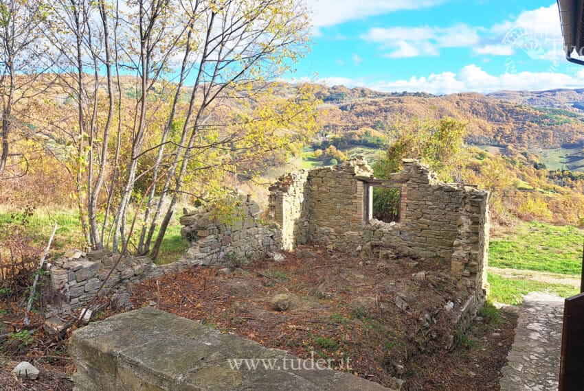 654 Assisi_azienda_ agricola_ casali