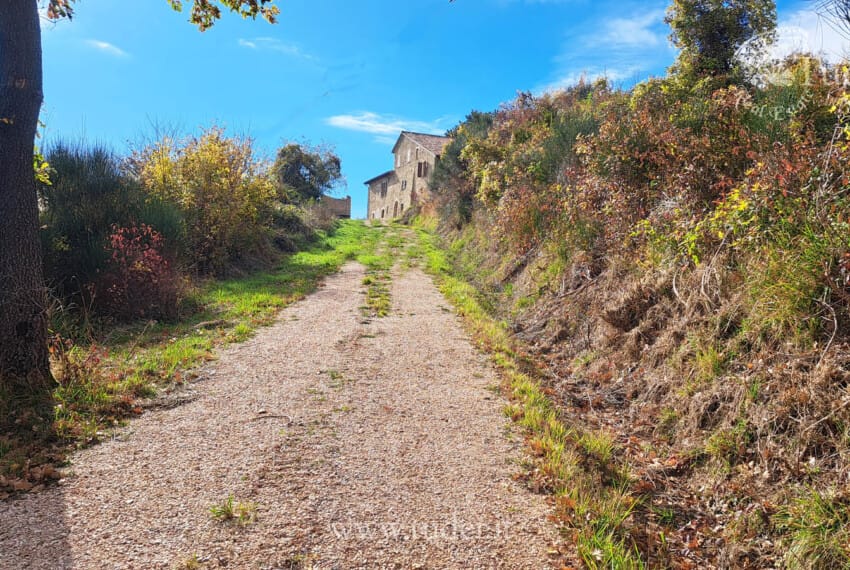 654 Assisi_azienda_ agricola_ casali