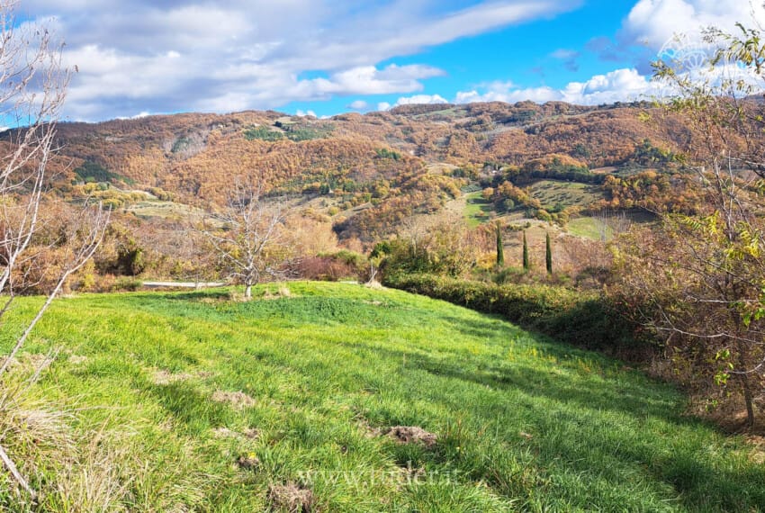 654 Assisi_azienda_ agricola_ casali