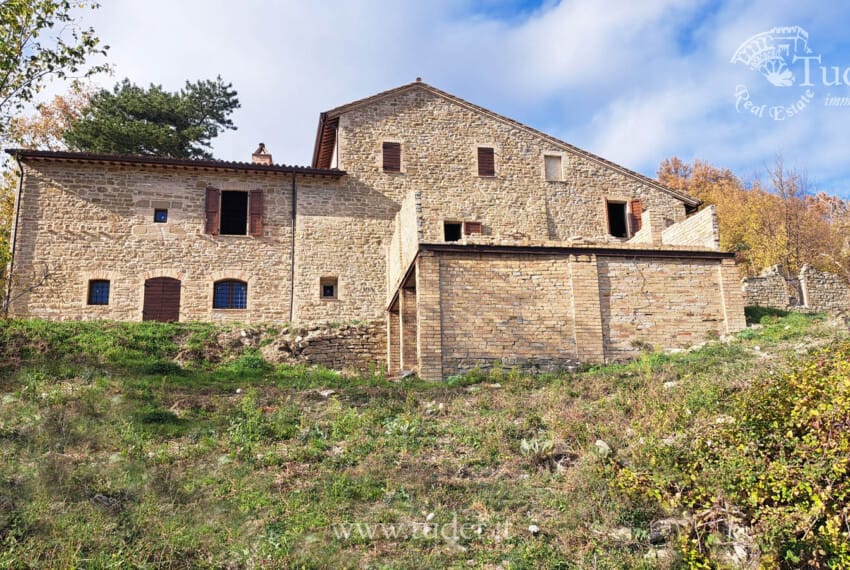 654 Assisi_azienda_ agricola_ casali
