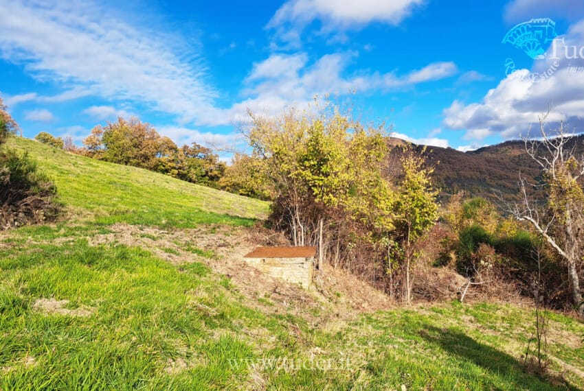 654 Assisi_azienda_ agricola_ casali