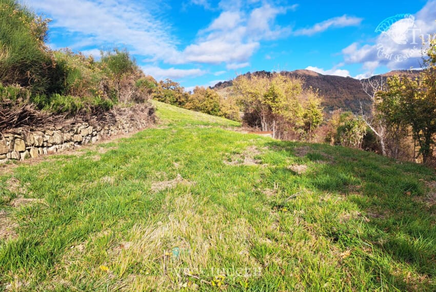 654 Assisi_azienda_ agricola_ casali