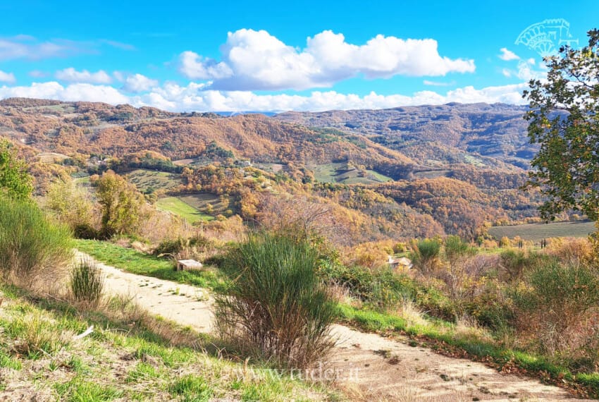 654 Assisi_azienda_ agricola_ casali