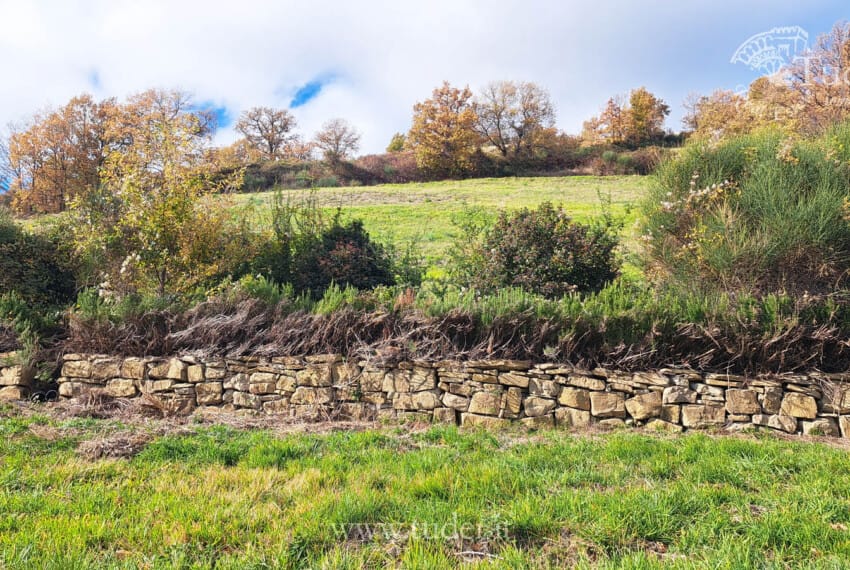 654 Assisi_azienda_ agricola_ casali