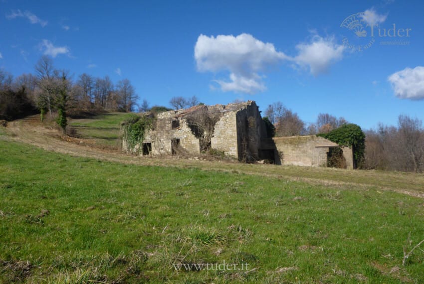 654_Assisi_azienda_agricola_casali