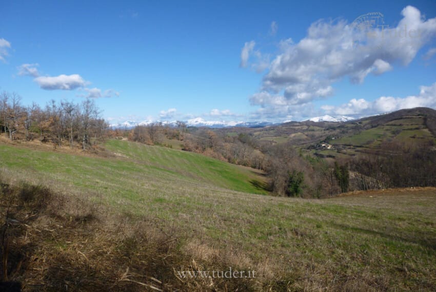 654_Assisi_azienda_agricola_casali