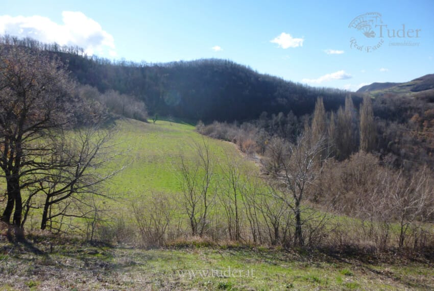 654_Assisi_azienda_agricola_casali