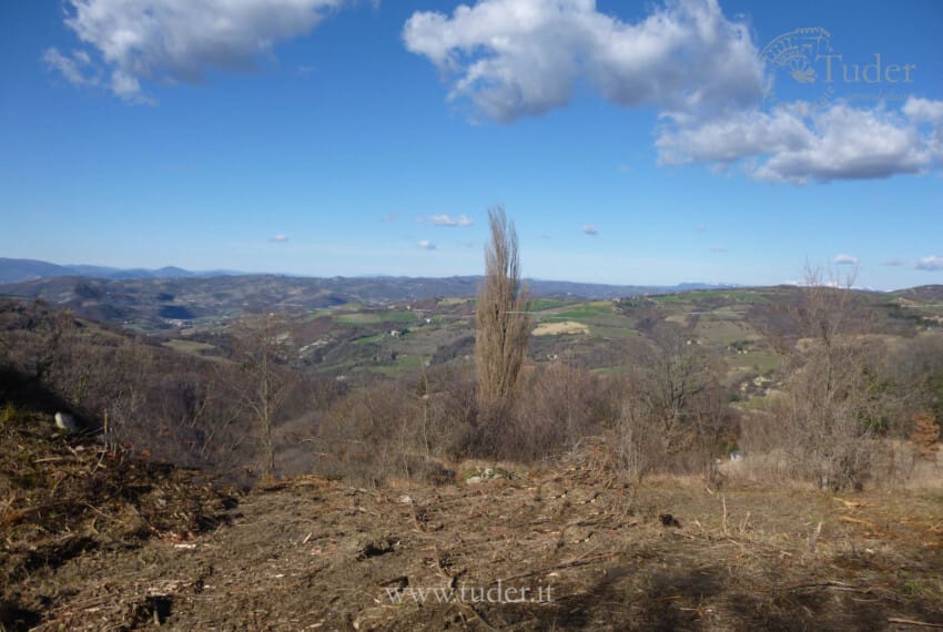 654_Assisi_azienda_agricola_casali
